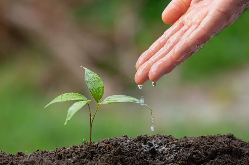 Licenciamento ambiental de propriedades rurais